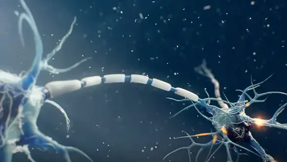 Video explaining how changes in sodium and potassium channel activity in neurons can lead to seizures, and how Xenon’s Kv7-targeted research may help reduce abnormal brain excitability